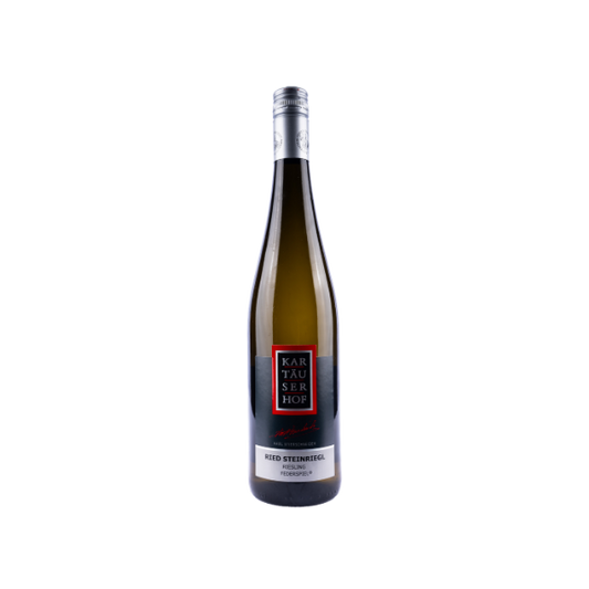 Riesling Federspiel® Ried Steinriegl DAC 2025